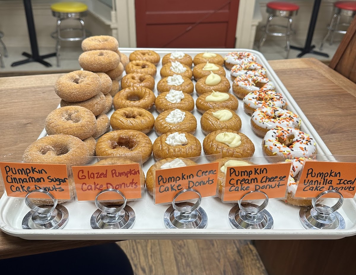 Not Just Donuts! Photos 2